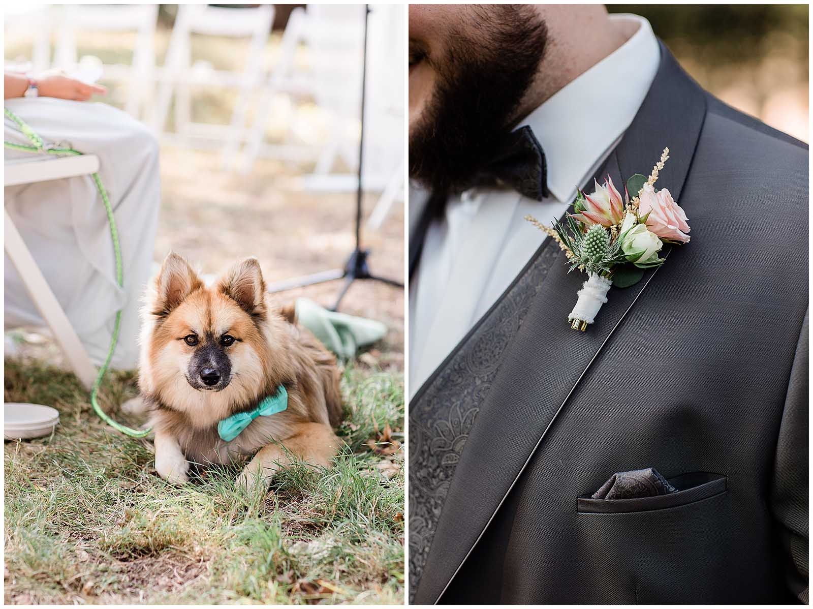 Hundefliege Hochzeit